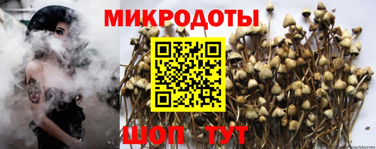 Псилоцибиновые грибы Psilocybe  Вход с VPN  купить наркотики сайты  Калуга 